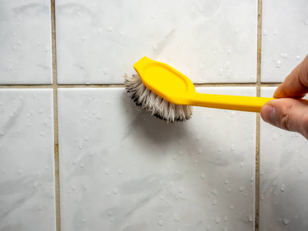 Best Basement Mold Remediation in Lake Dallas, TX