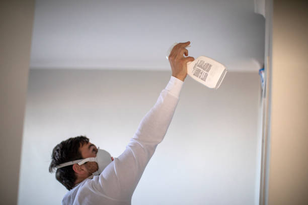 Best White Mold Remediation in Lake Dallas, TX