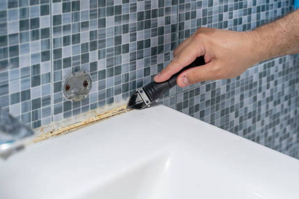 Best Residential Mold Remediation in Lake Dallas, TX