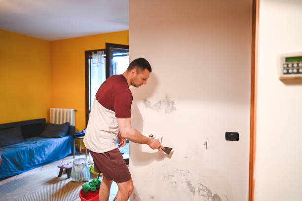 Best Bathroom Mold Remediation in Lake Dallas, TX